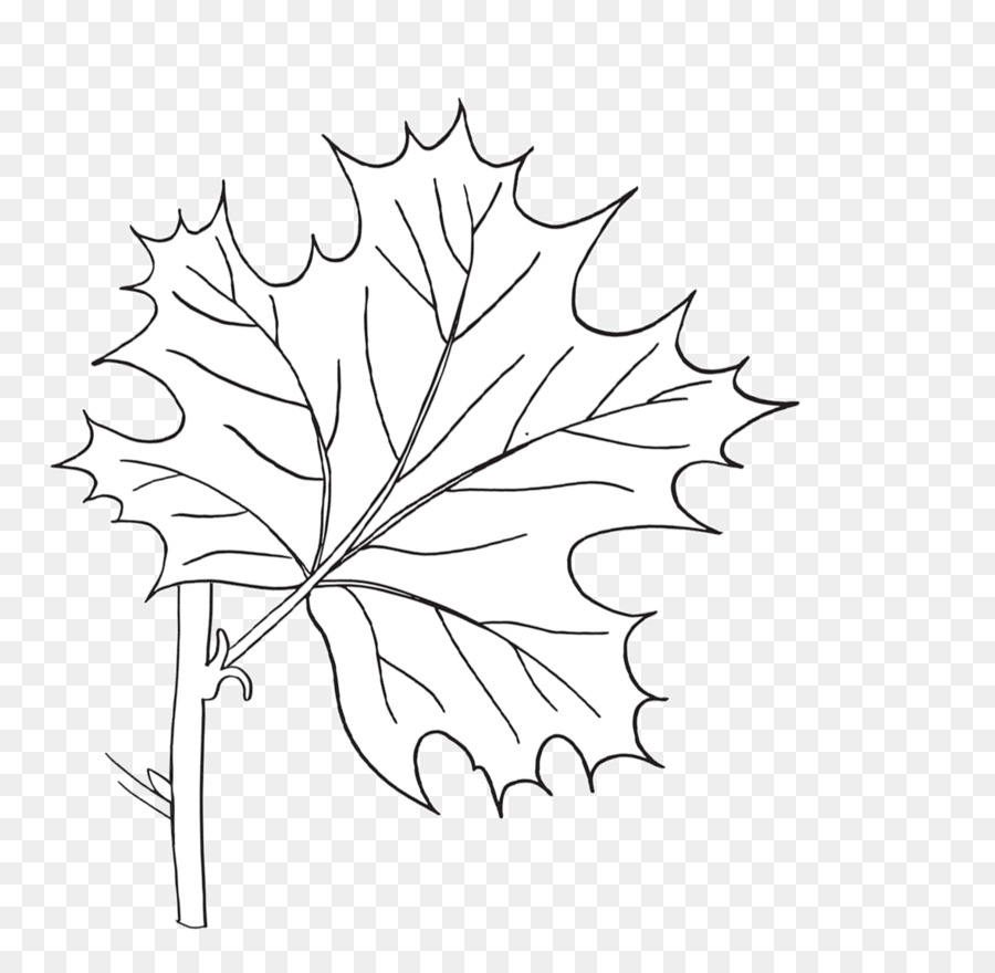 Hoja，Árbol PNG