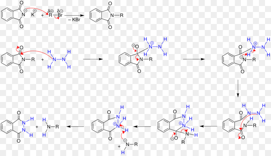 Gabriel Síntesis，Química Orgánica PNG