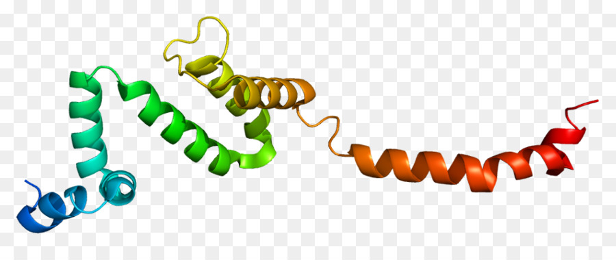 Hélice De Proteína，Molécula PNG