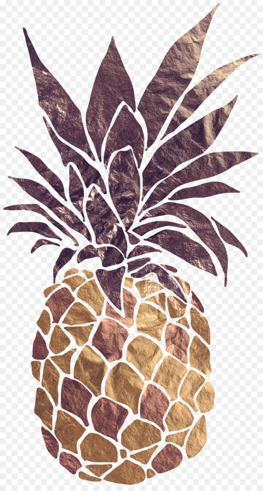 Piña，Tropical PNG