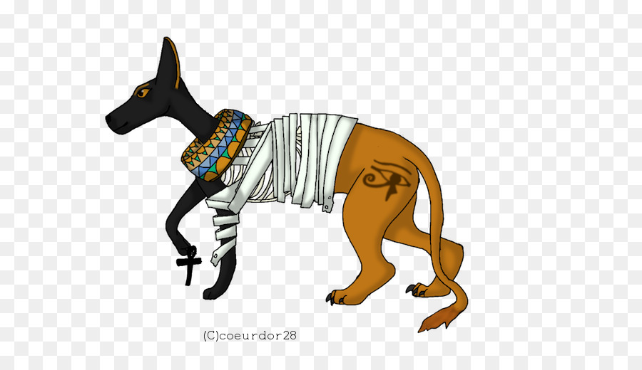 Raza De Perro，Perro PNG