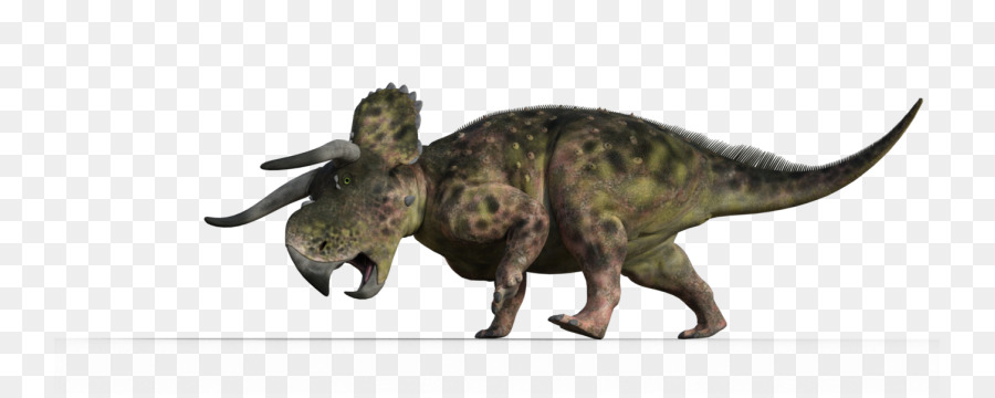 Tyrannosaurus，Spinops PNG