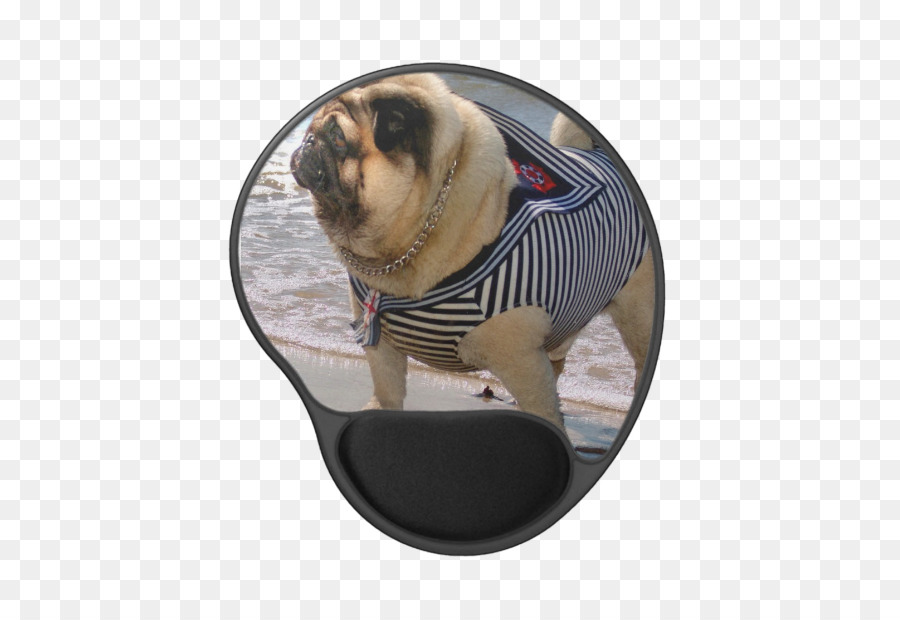 Pug，Raza De Perro PNG