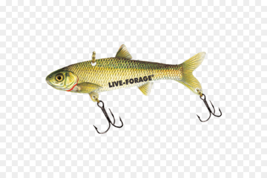 La Trucha，Los Peces Forrajeros PNG