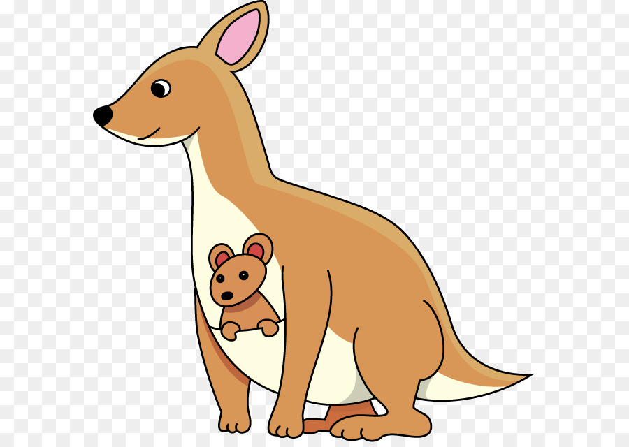 Canguro，El Kangaroo Joey PNG