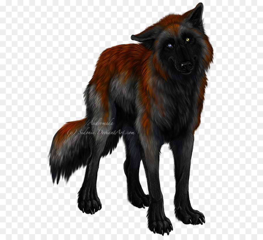 Lobo Rojo，Canino PNG