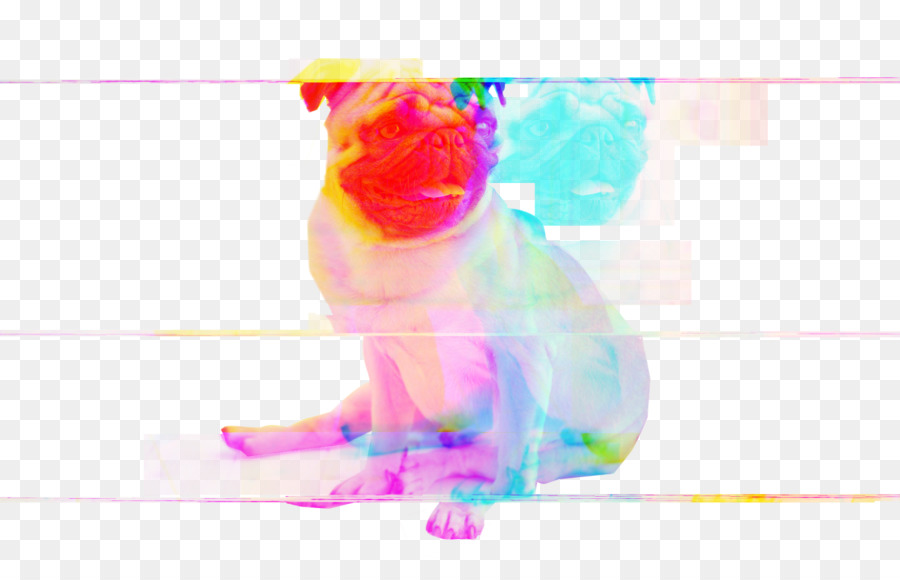 Bolsillo De Hockey De Aire，Pug PNG