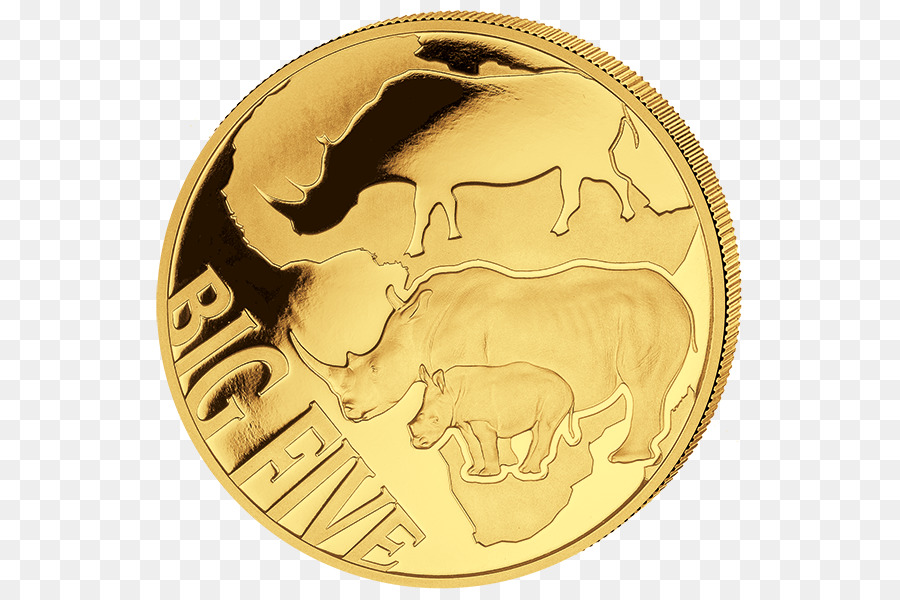 Moneda De Oro，Divisa PNG