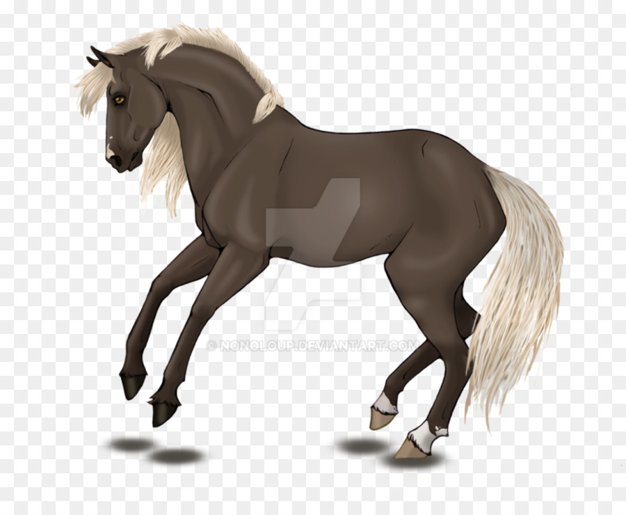 Caballo Marrón，Equino PNG