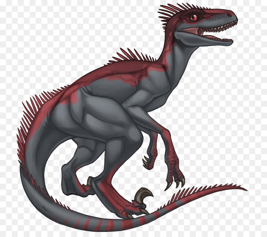 Velociraptor，Tyrannosaurus PNG