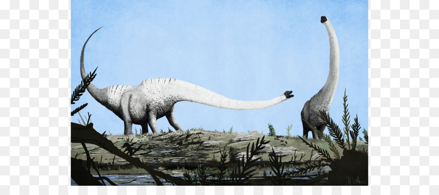 Mamenchisaurus，Dinosaurio PNG