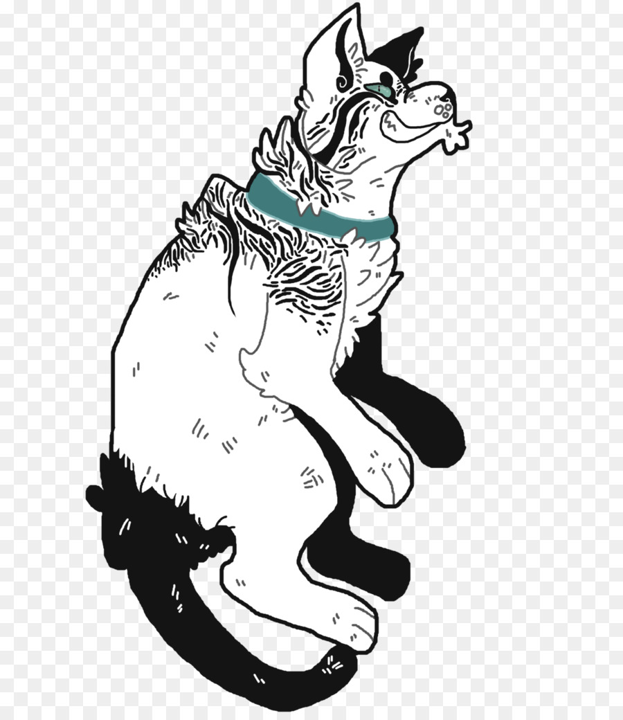 Gato，Perro PNG