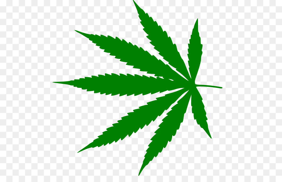 El Cannabis，La Legalización PNG