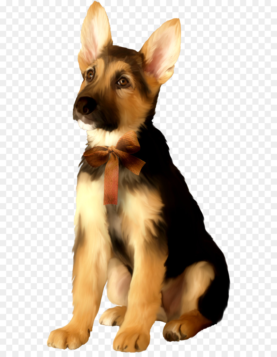 Cachorro，Perro PNG