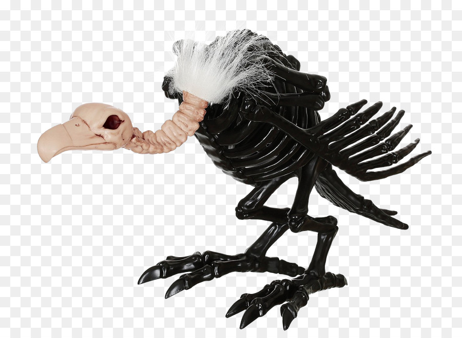 Pájaro Esqueleto，Buitre PNG