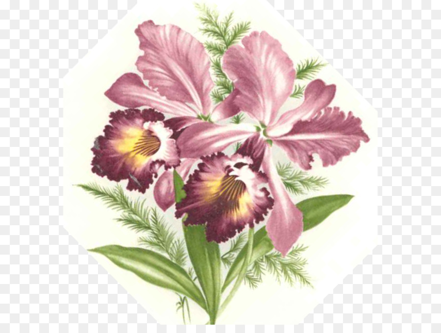 Diseño Floral，Flor PNG