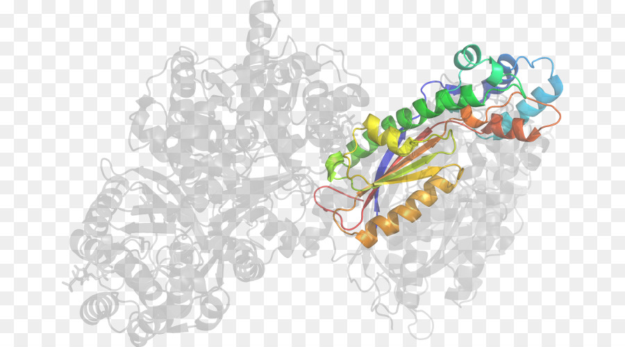 El Cuerpo De La Joyería，Joyería PNG