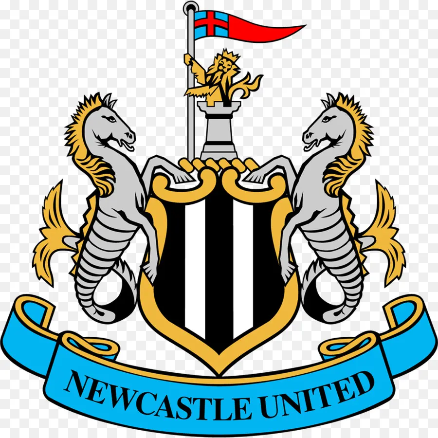 El Newcastle United Fc，St James Park PNG