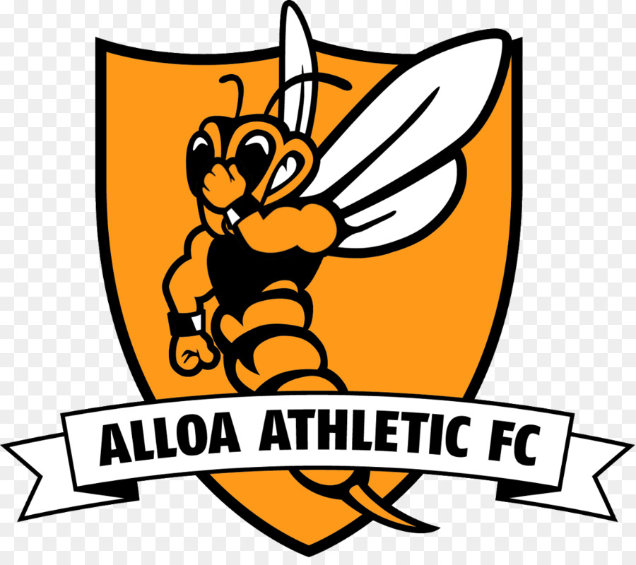 Alloa Athletic Fc，Stranraer Fc PNG