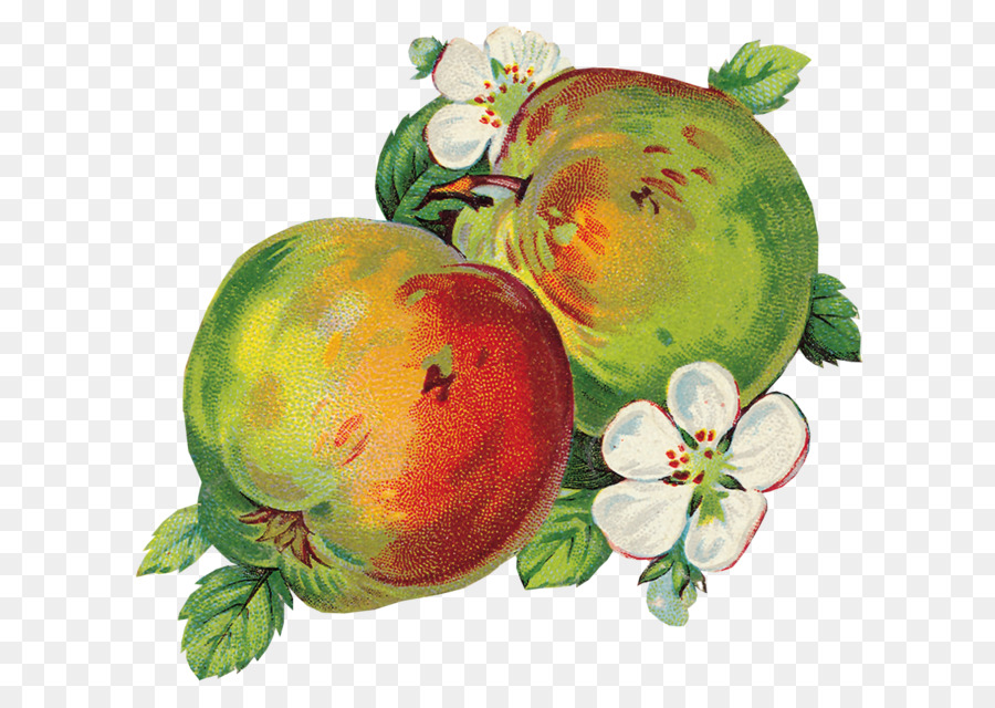 Manzanas，Verde PNG