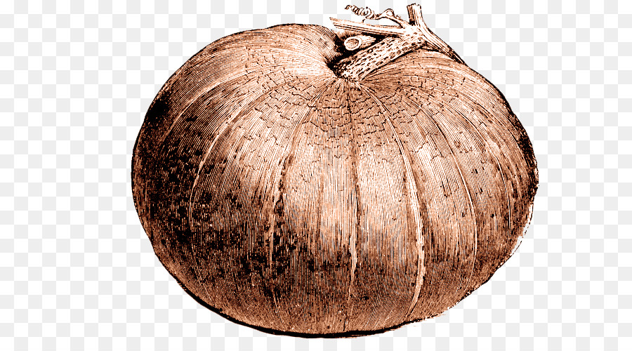 Calabaza De Invierno，Cucurbita PNG