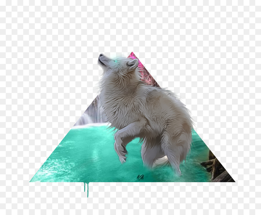 Bigotes，Perro PNG