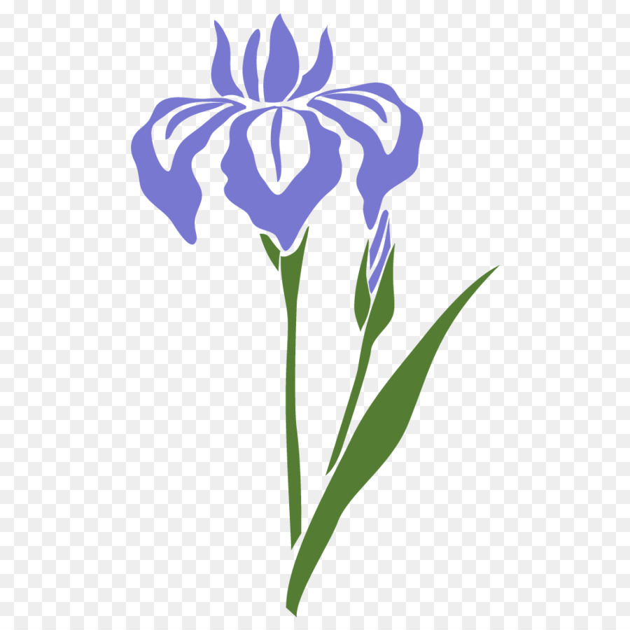 Flor De Iris，Púrpura PNG