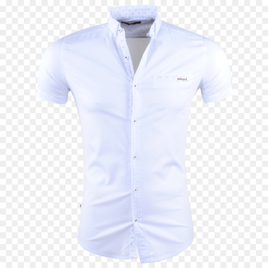 Camisa De Vestir，Blusa PNG