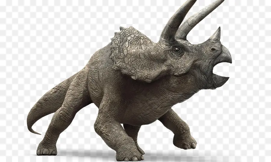 Triceratops，Prehistórico PNG