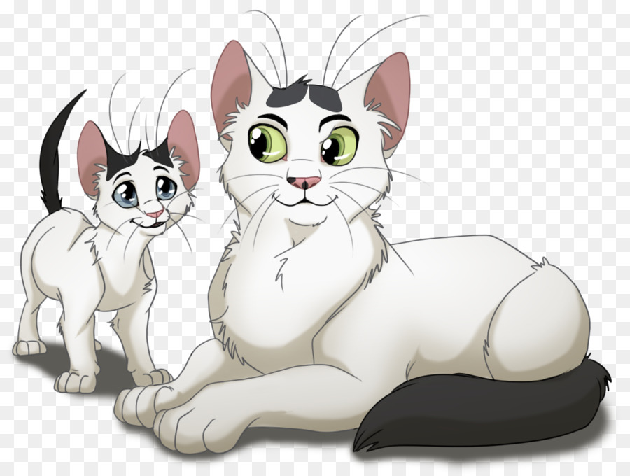 Bigotes，Gatito PNG