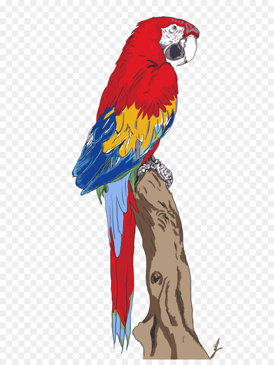 Guacamayo，Loro PNG