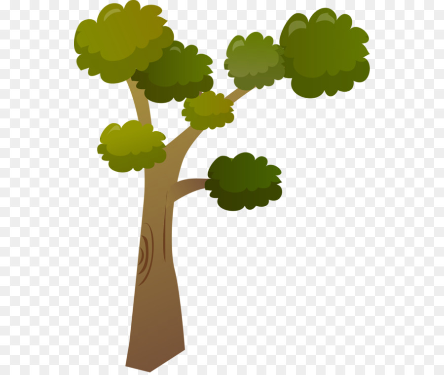 Árbol Bonsái，Árbol PNG