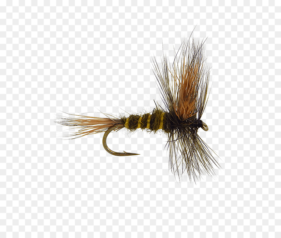 Artificial De La Mosca，La Pesca Con Mosca PNG