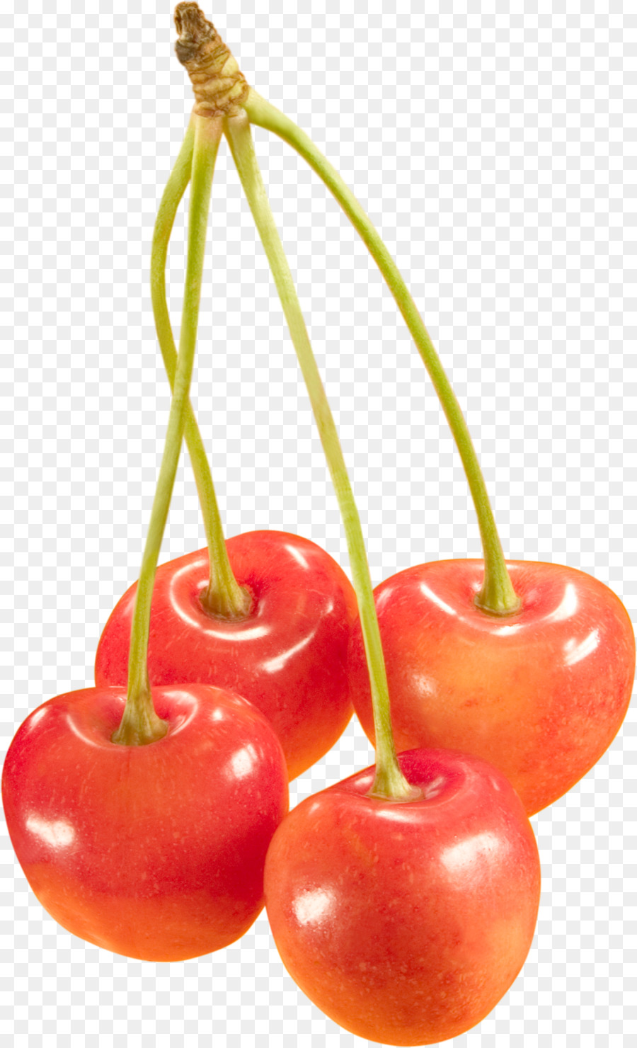 Cereza Dulce，Cereza PNG