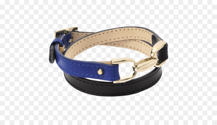 Las Hebillas De Cinturón，Collar De Perro PNG