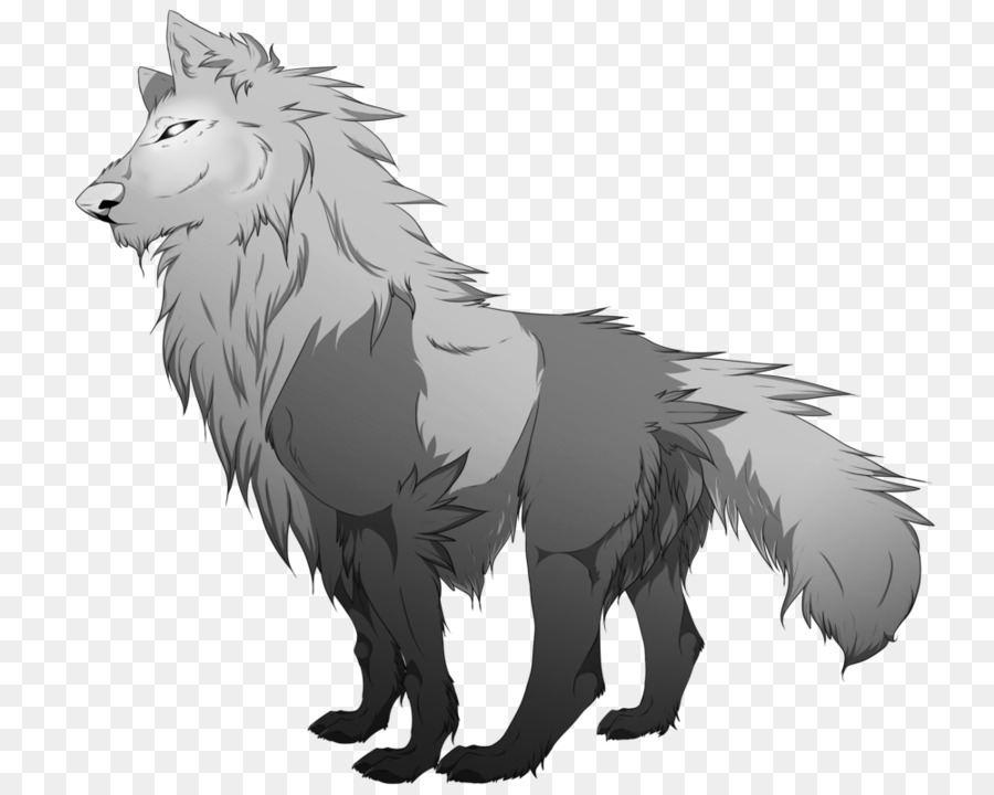 Lobo，Blanco PNG