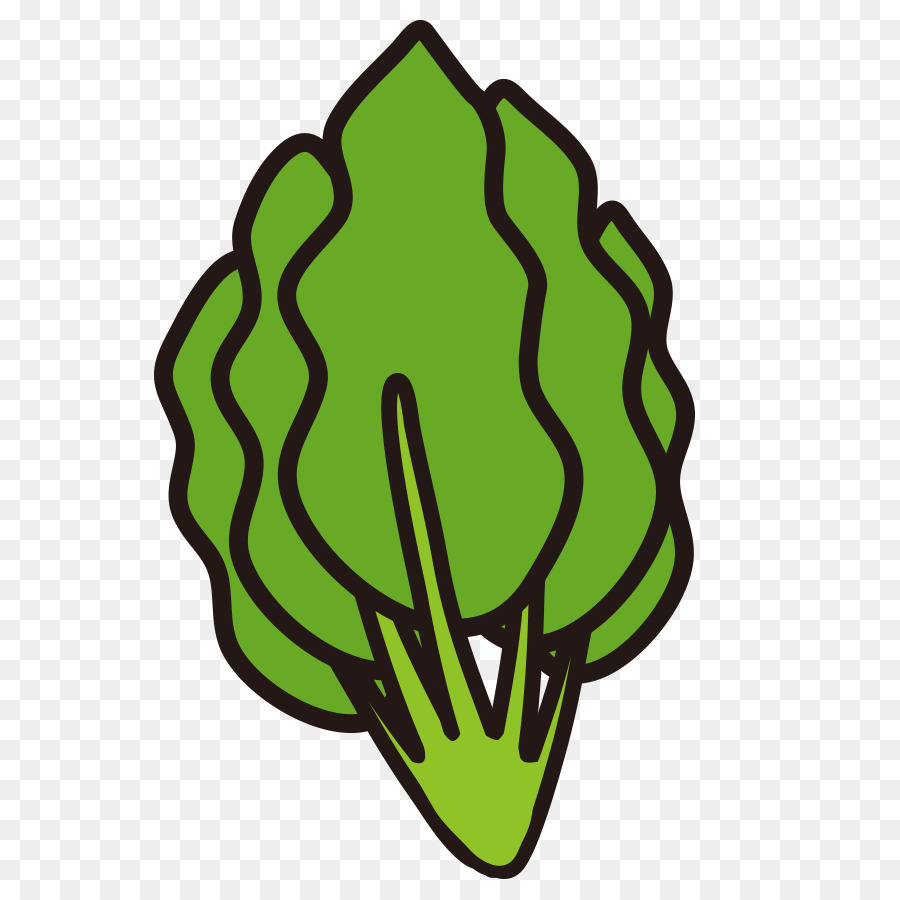 Brócoli，Verde PNG