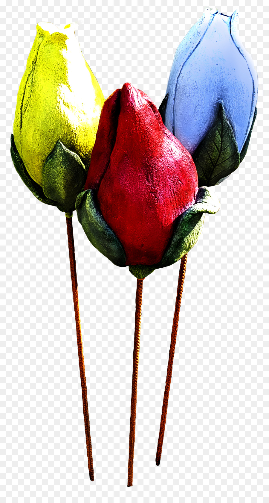 Las Rosas De Jardín，FormgÅrden PNG