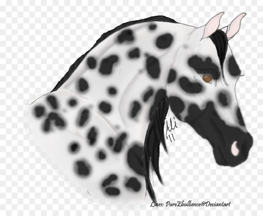 Perro Dálmata，Appaloosa PNG