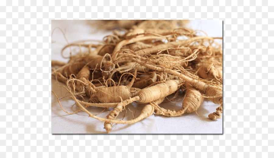 El Ginseng Asiático，El Ginseng Americano PNG