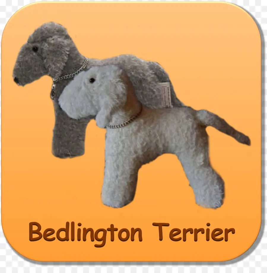 Terrier Bedlington，Perro PNG