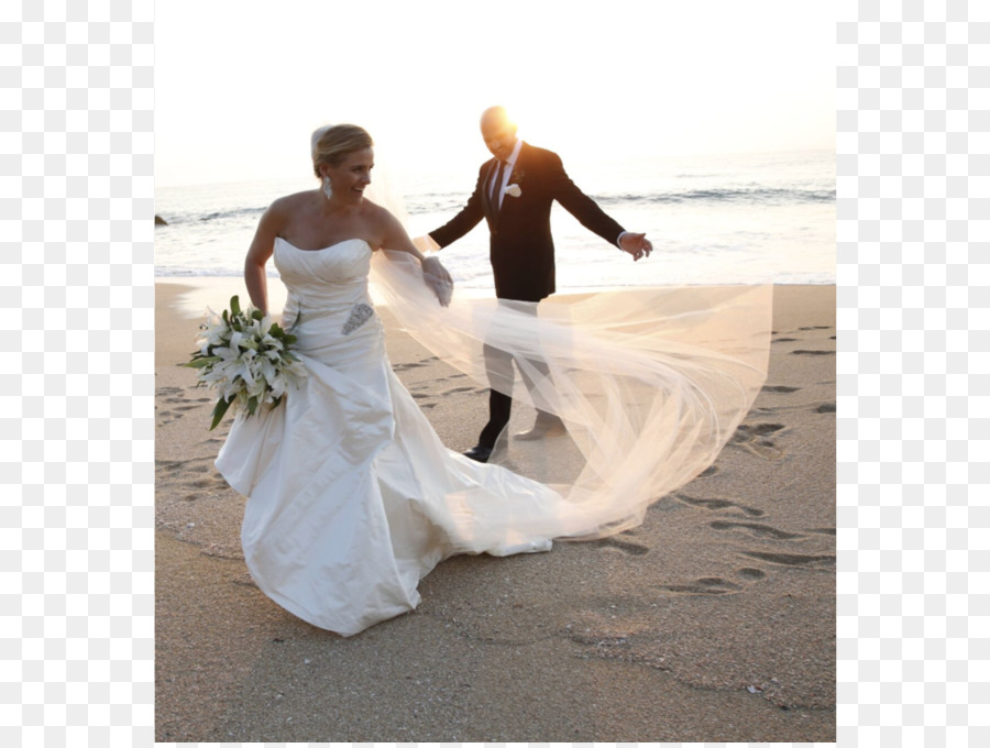 Vestido De Novia，La Boda PNG