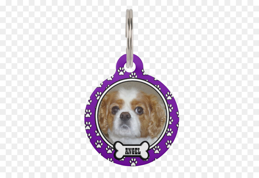 Cavalier King Charles Spaniel，Pug PNG