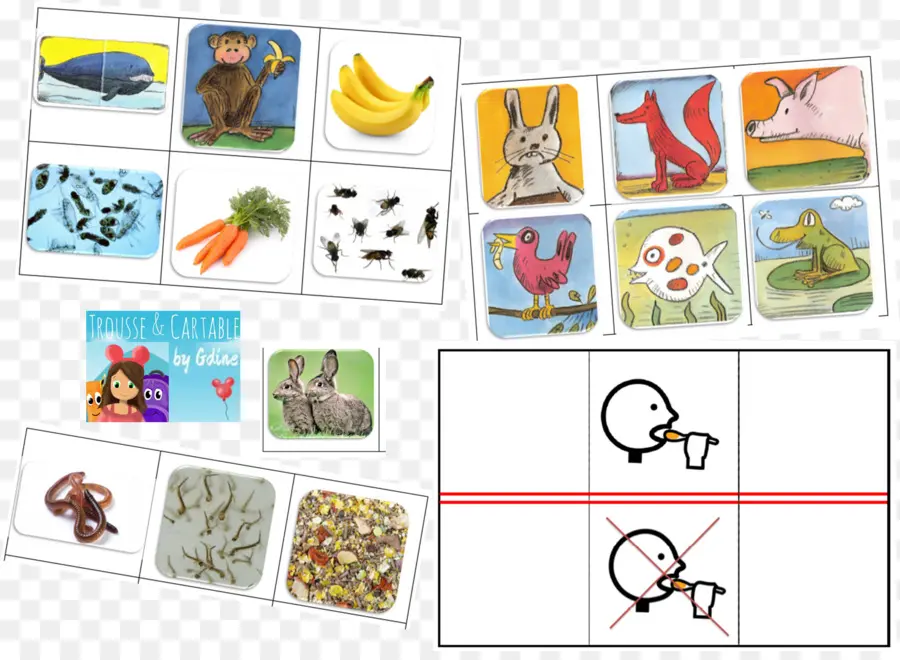 Tarjetas De Animales，Educativo PNG