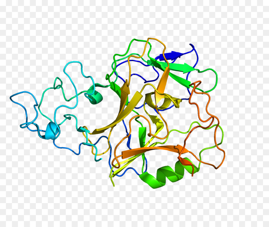 Setmar，Los Genes PNG