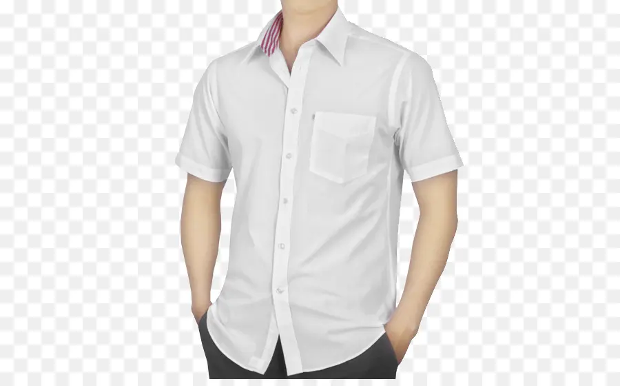 Camisa Blanca，Formal PNG