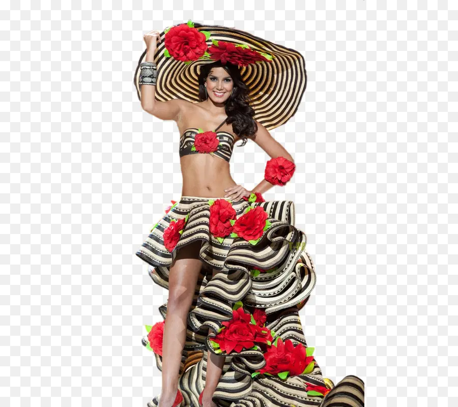 Vestido Colorido，Sombrero PNG