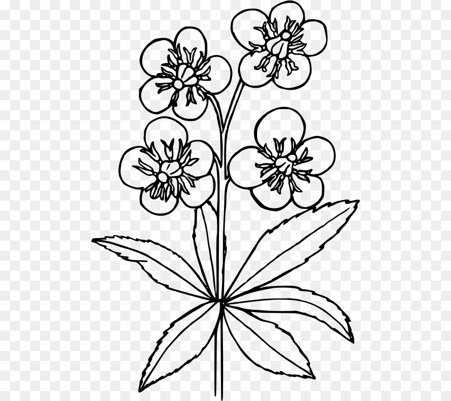 Dibujo De Flores，En Blanco Y Negro PNG