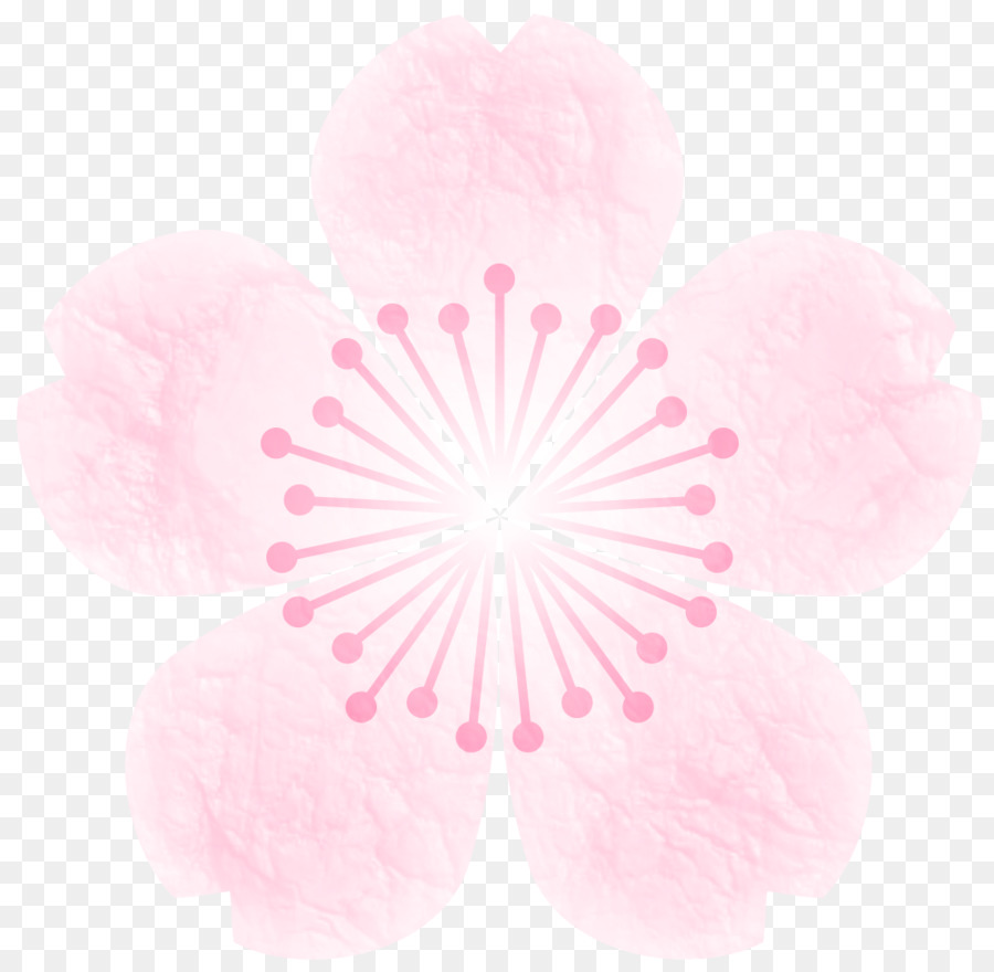 Sakuramochi，Flor De Cerezo PNG