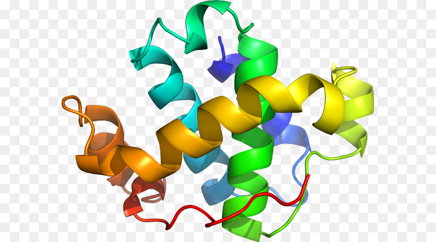 Hélice De Proteína，Molécula PNG